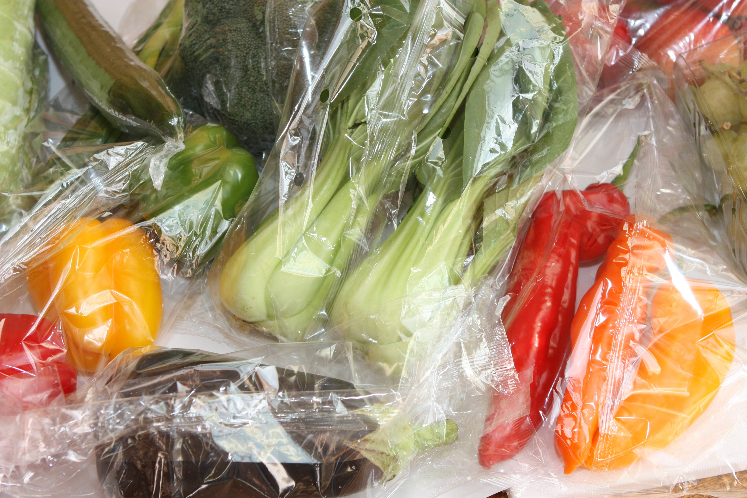 Free Bootstrap Template by uicookies.com